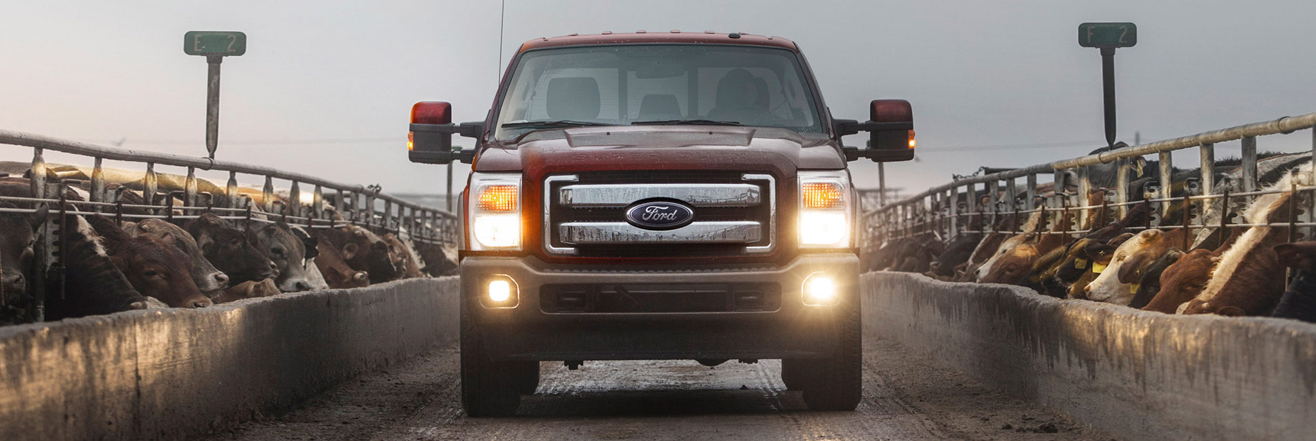 Used cars for sale in Newfoundland | Ziggy Brothers Auto Group LLC. Newfoundland New Jersey